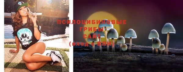 МДПВ Абинск