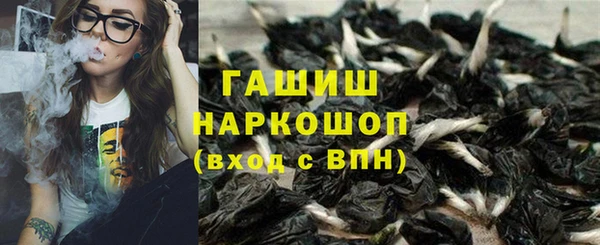 герыч Алексин